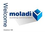 moladi Formwork