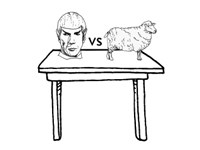 Episode 32: Sheep or Spock with Beth Strauss
