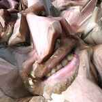 Aphex Twin - T69 Collapse