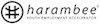 Harambee Youth Employment Accelerator