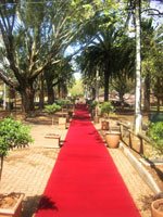 The “Red Carpet” walk way up to the event.
