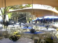 Picturesque view of the event setting in the Johannesburg Zoo.