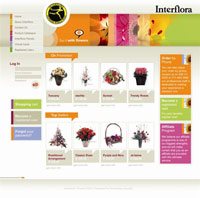 Website revamp seeds florist brand rejuvenation