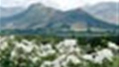 Franschhoek comes uncorked