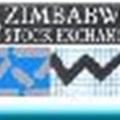Zimbabweans rush to the stock market as local currency burns