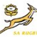 The new Springbok identity - much ado about nothing?