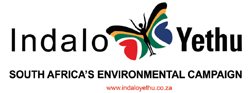 Schools in Pretoria are 'Going Green'