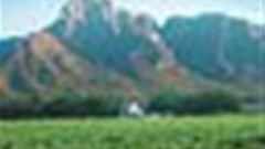 IFA grows its stake in Boschendal