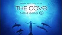 The Cove-er up!