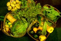 SA organic farmers slam UK study
