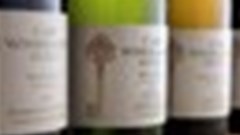 Cape Winemakers Guild Showcase - get out your glasses