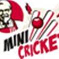 New sponsor for mini cricket