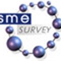 SME survey to show impact of world cup