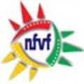 Call for NFVF Council nominations