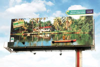 Costa Rica's living billboards