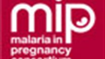 Protection of pregnant women against malaria still inadequate