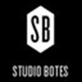 Brandt Botes opens studio