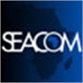 Seacom cable operation plagued by Egypt's troubles