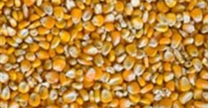 Genetically modified seed factory opens
