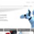 Toshiba online store launched