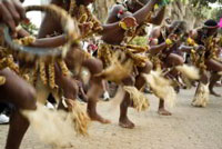 African culture will come under the spotlight at the expo, as well as trade, investment and tourism opportunities. (Image: MediaClubSouthAfrica.com.)