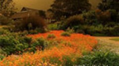 Tourism celebrates Kirstenbosch win