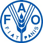 Grain losses in sub-Saharan Africa could total $4 billion - FAO/WB report