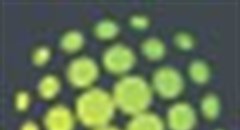 Greenlight strengthens social media offering with new appointment