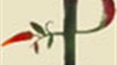 At the root of Peri-Peri