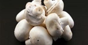 AVI disposes of Denny Mushrooms
