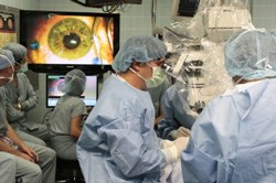 Dr. Steven Schwartz peers into a microscope during surgery to transplant highly specialised cells derived from human embryonic stem cells into the eyes of the first patients enrolled in two clinical trials that are testing the promise of stem cell therapy. (Image: Reed Hutchinson)