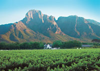 Cinmark to buy Boschendal wine farm for R700m