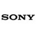 Sony uniting strengths at online network