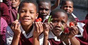 Healthy eating programme sponsored by Mars Africa
