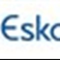 Eskom gets $365m for renewable energy projects