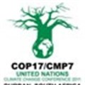 COP17 can still save Kyoto Protocol