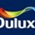 SA's Dulux is making significant inroads into Africa
