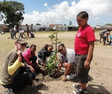 Volunteers, schools kids team up to plant trees.