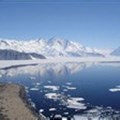 Visitors, invasive species and climate change threaten pristine Antarctica