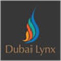 6th Dubai Lynx Awards announces winners