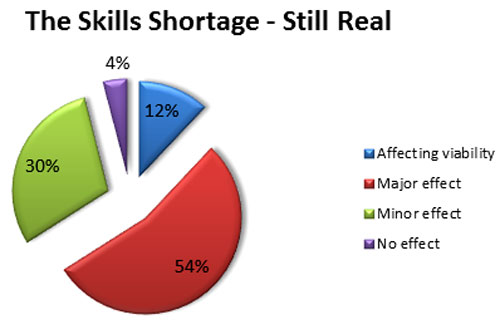 Source: 2011/ITWeb-JCSE Skills Survey