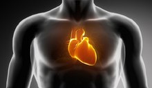 Early administration of GIK solution lessens severity of heart attacks