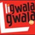 Ligwalagwala FM celebrates Mandela month with charity outreach