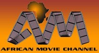 African Movie Channel partners with StarTimes
