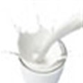 BMi report on milk substitute, Maas market