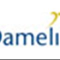 Damelin awards R100 000 bursary
