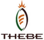 Thebe resigns from exhibition association