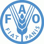Access to water key for food security: FAO chief