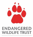 Land Rover Defenders help African wild dog conservation