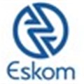 Taxpayers will have to pay for delays in Eskom's Medupi
